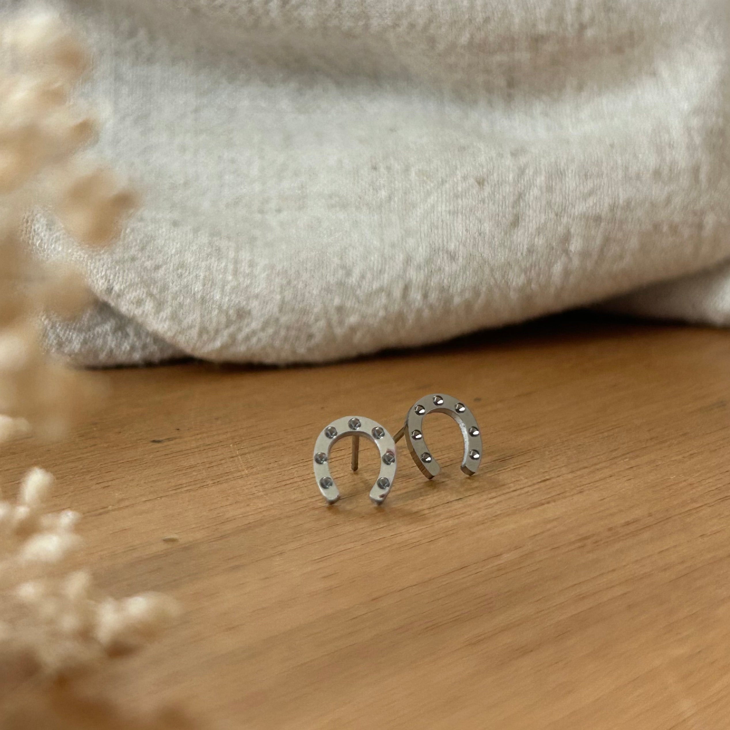 Boucles d'oreilles Moly argentée